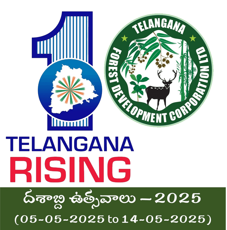 TSFDC